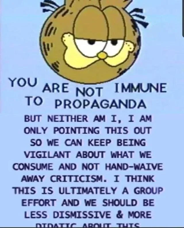 &ldquo;Um meme do gato do desenho Garfield com uma frase escrita em inglês, que em tradução livre diz: Você não é imune a propaganda, mas eu também não, estou apenas apontando isso para nos mantermos vigilantes sobre o que consumimos e não descartar críticas levianamente. Eu acho que no final das contas isso é um esforço coletivo e deveríamos ser menos dismissivos e mais didáticos sobre isso.&rdquo;