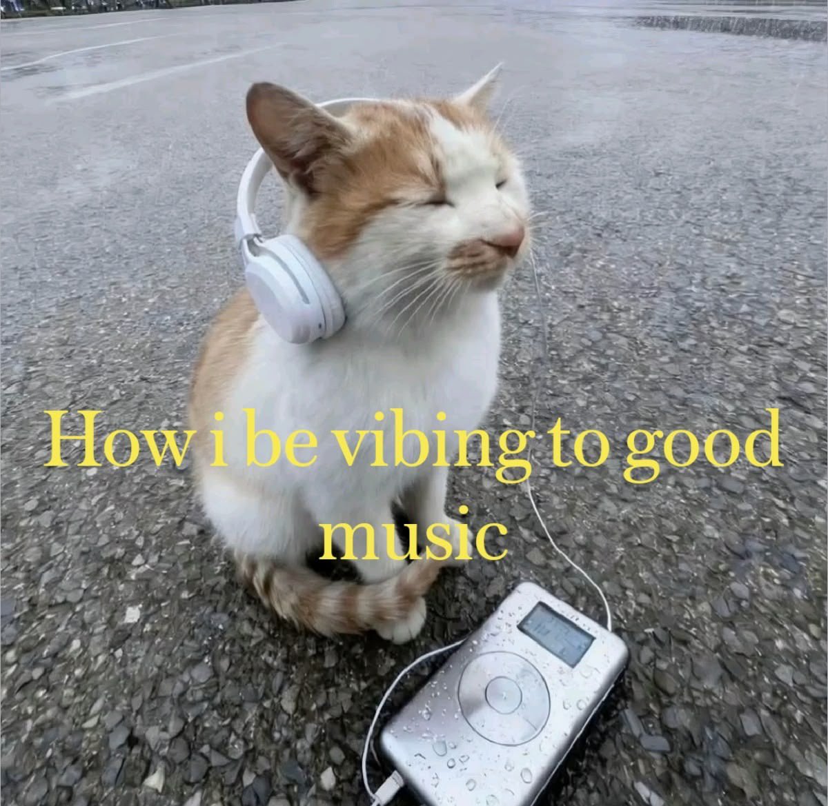 &ldquo;Uma imagem de um gato laranja e branco com um fone de ouvidos na cabeça e um tocador de mp3 em sua frente, a imagem tem a legenda em inglês, em tradução livre: Como eu curto a boa música &ldquo;