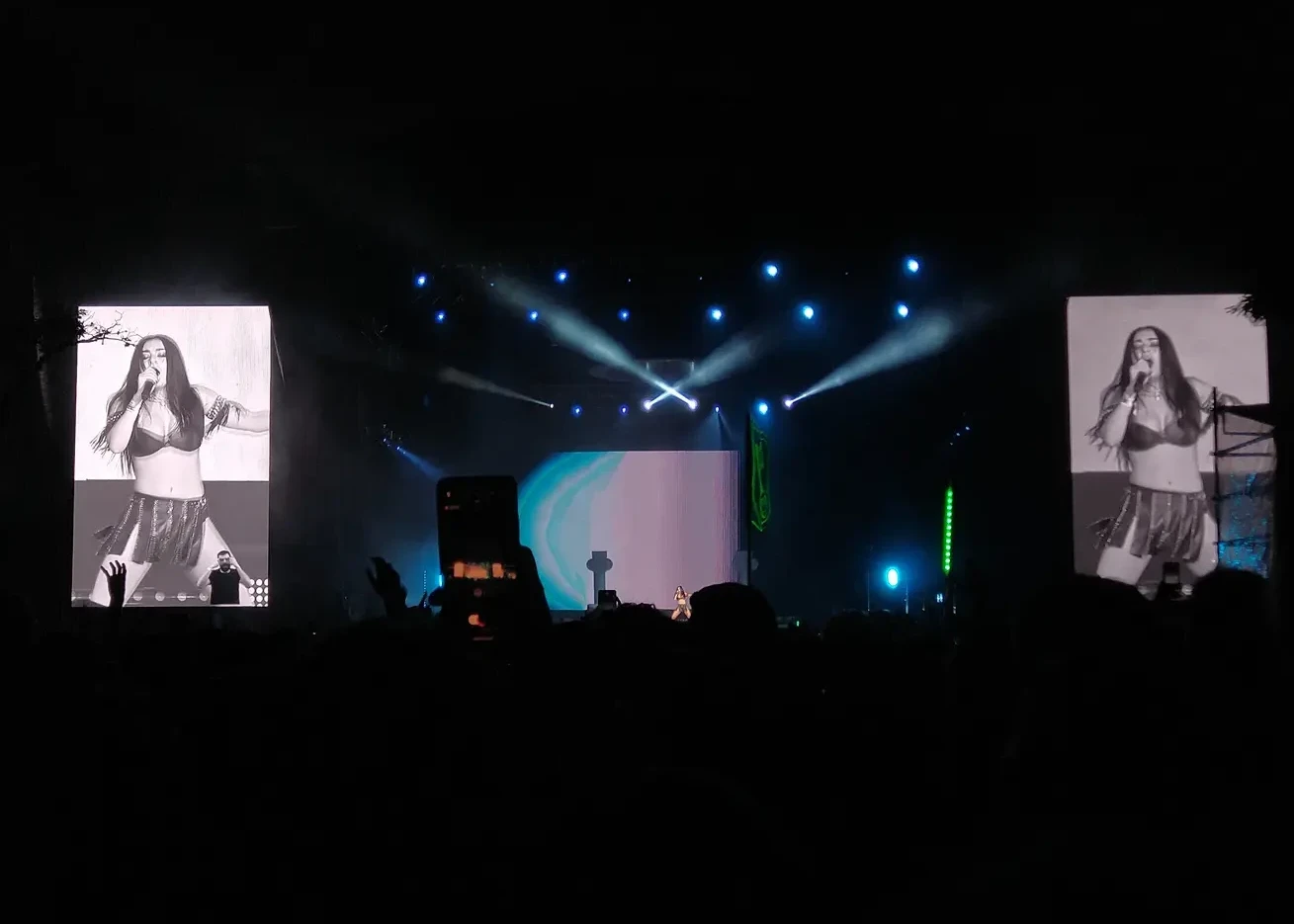 Imagem do show da Charlie XCX