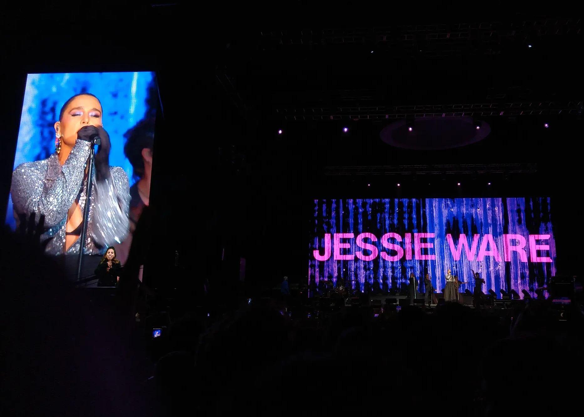 Imagem do show da Jessie Ware